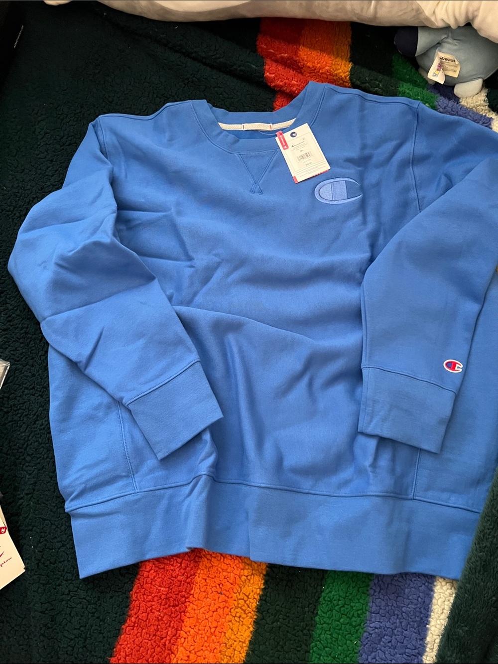 Champion Light Blue Crewneck Sweatshirt - Men's Pullover